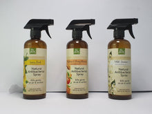 Load image into Gallery viewer, Stayfresh Canada Natural Antibacterial Room Spray (250ml)